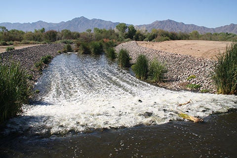 Tres Rios Overbank Outfall to river